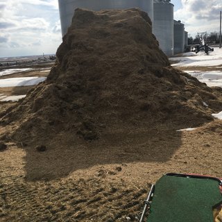 hay pile.jpg