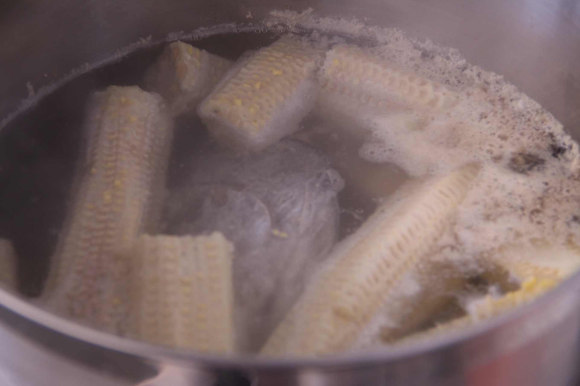 head and corn cob stock.JPG