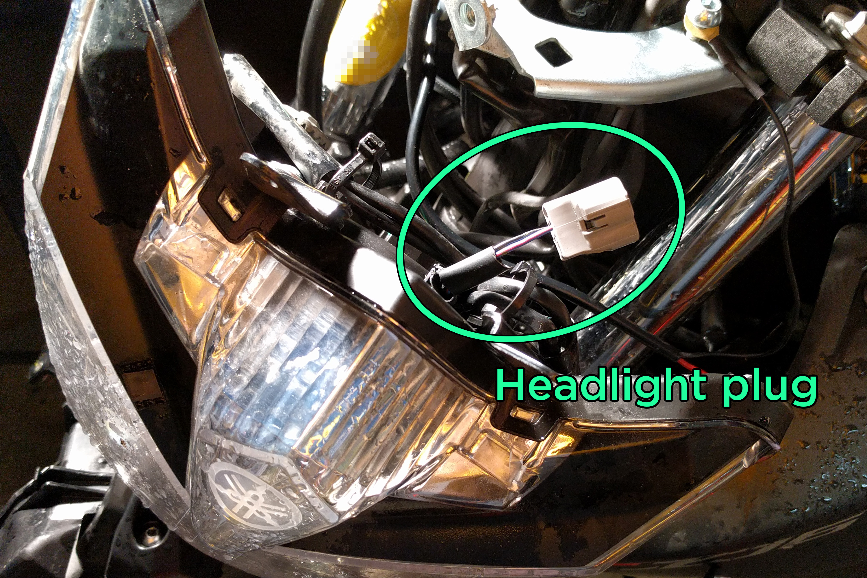 headlight.jpg