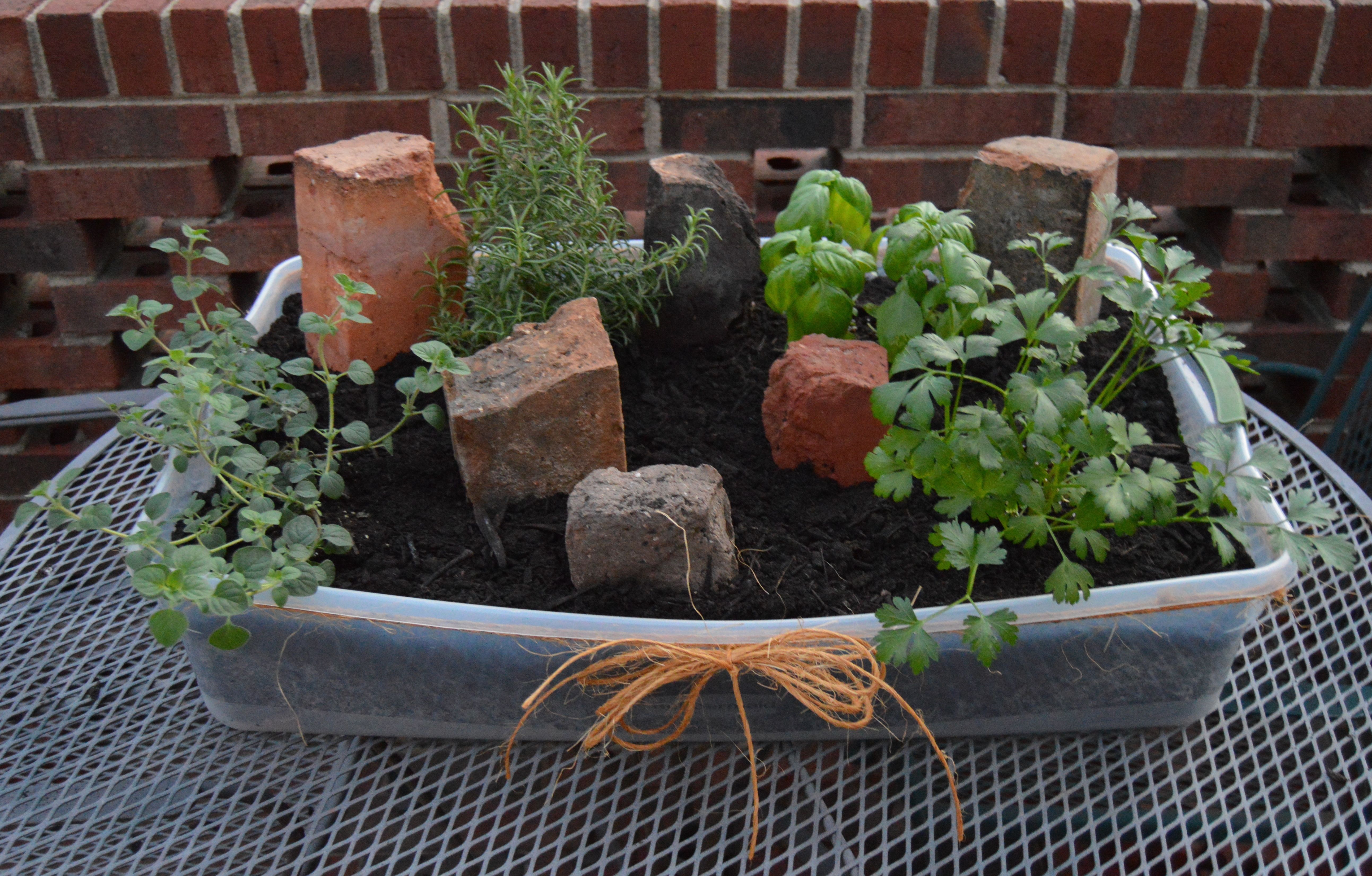 herb garden complete.jpg