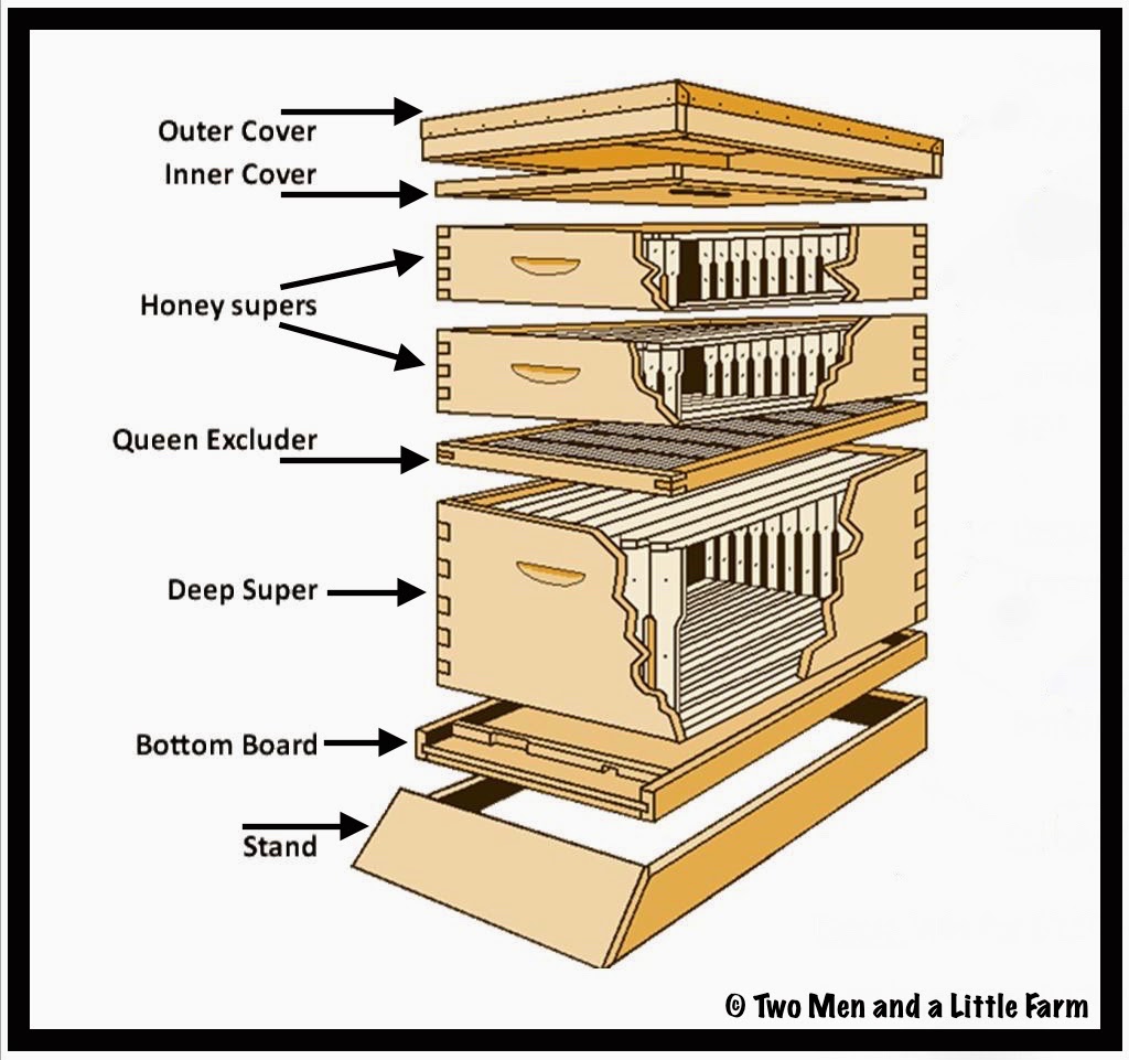 hive_diagram.jpg