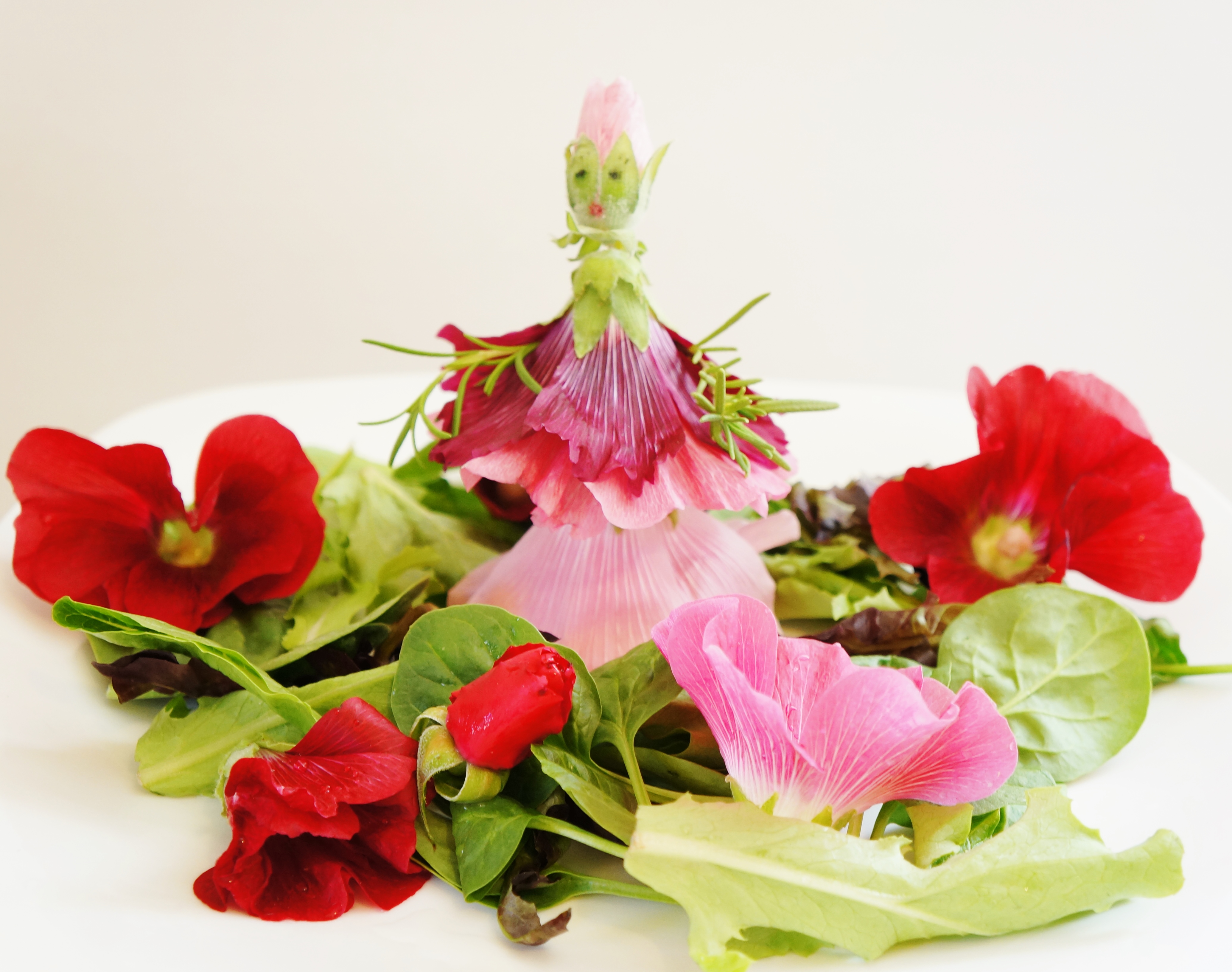 hollyhock salad 022.JPG