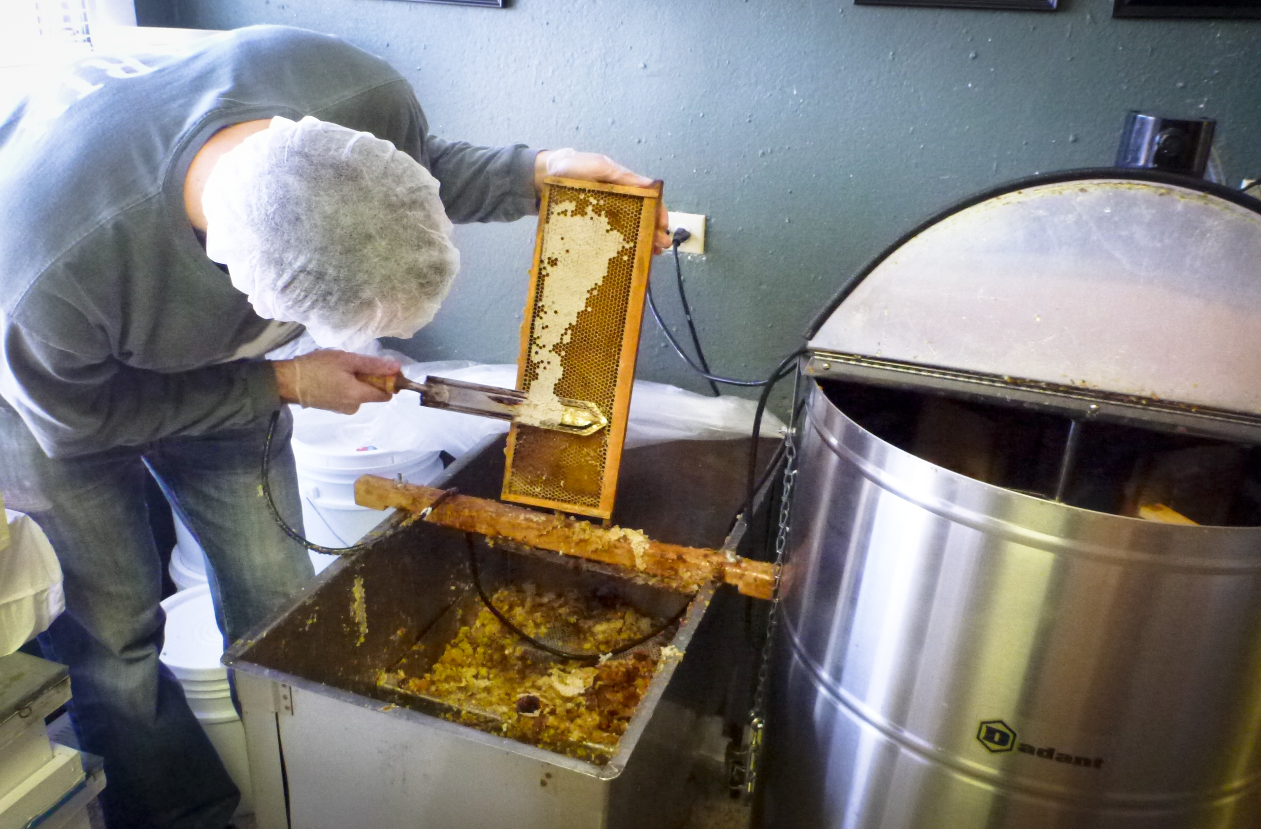 honey extraction-4.jpg