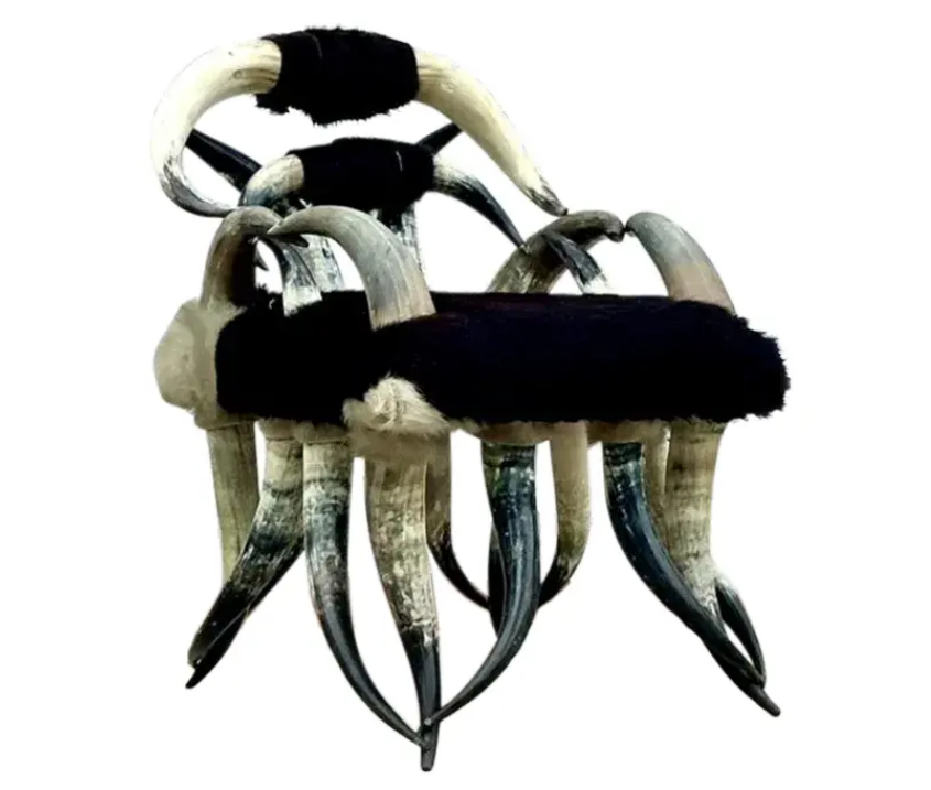 horn chair from the 1800s.png