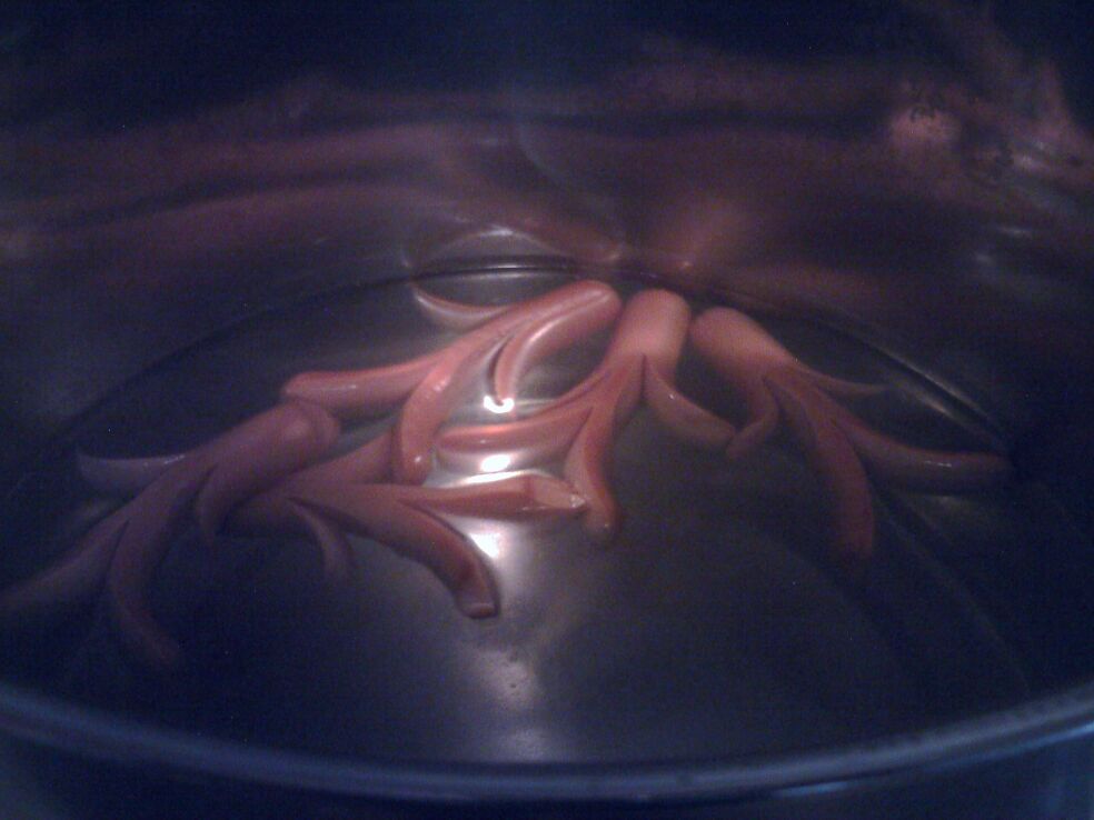hot dog fun  3b.JPG