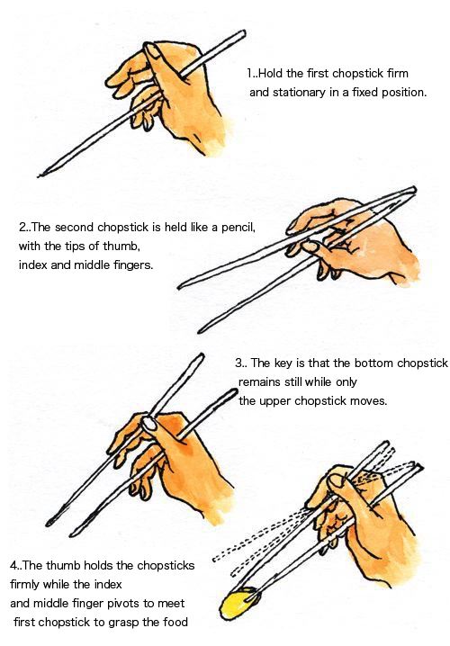 how to hold chopsticks 1.jpg