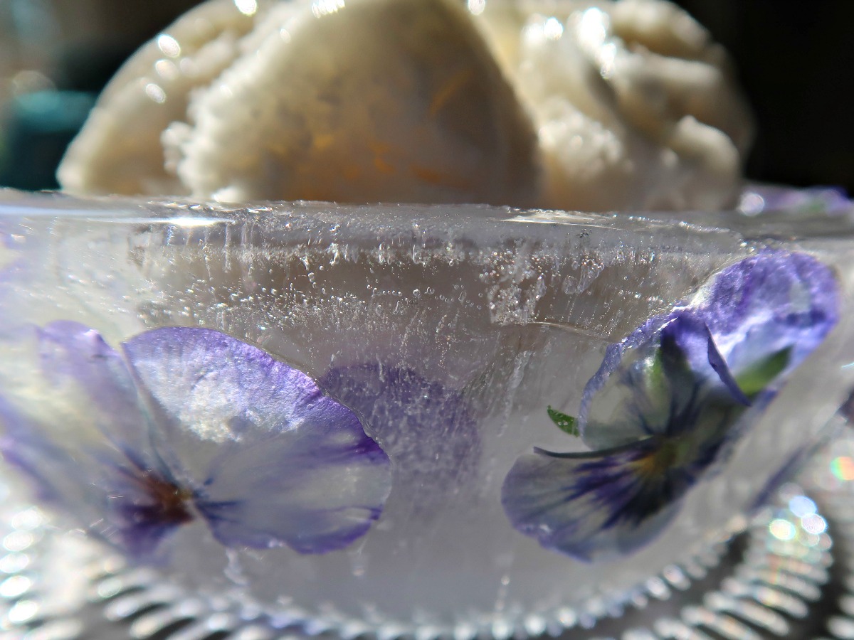 how to make easy ice bowls using blu tack 22.jpg