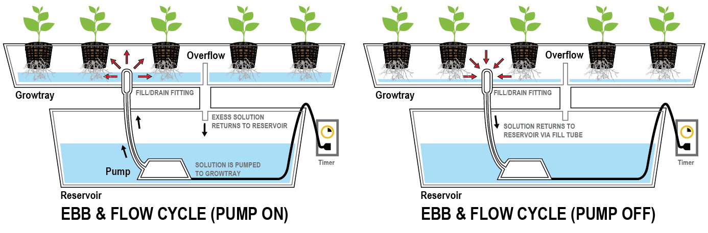 how-to-build-an-ebb-and-flow-hydroponic-system.png