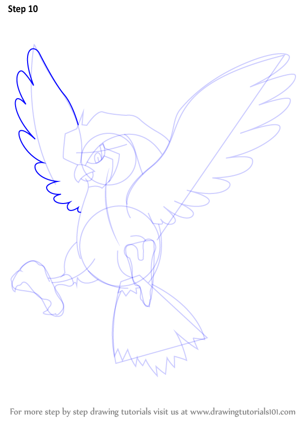 how-to-draw-Pidgeotto-from-Pokemon-step-10.png