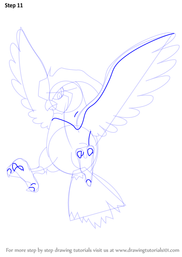 how-to-draw-Pidgeotto-from-Pokemon-step-11.png