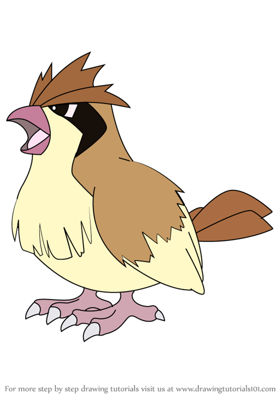 how-to-draw-Pidgey-from-Pokemon-step-0.png