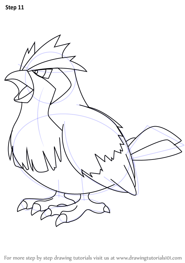 how-to-draw-Pidgey-from-Pokemon-step-11.png