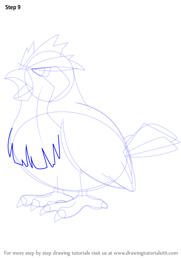 how-to-draw-Pidgey-from-Pokemon-step-9.png