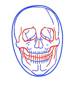 how-to-draw-a-realistic-skull-step-5[1].jpg