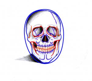 how-to-draw-a-realistic-skull-step-6[1].jpg