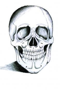 how-to-draw-a-realistic-skull-tutorial-drawing[1].jpg