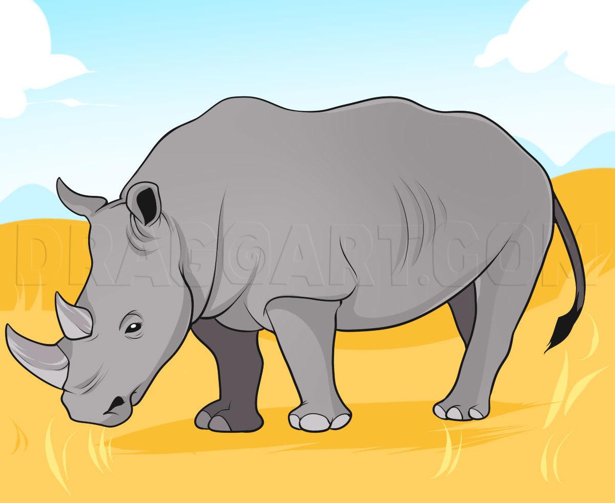 how-to-draw-a-rhino_5e4c8cd07f5ab5.05660855_32618_3_3.jpg