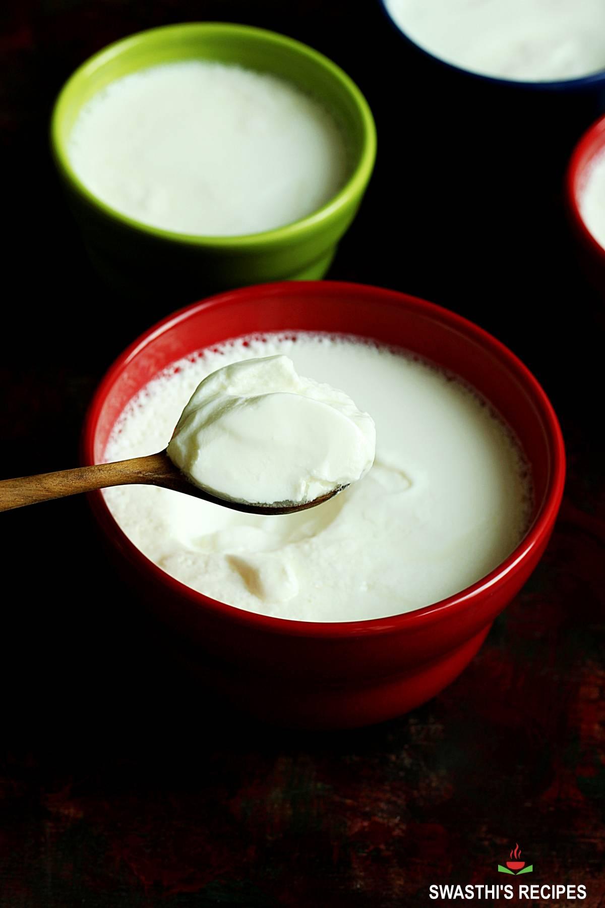 how-to-make-curd-dahi.jpeg