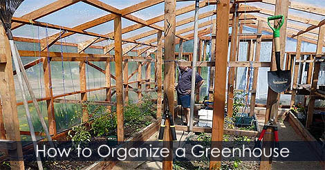 how-to-organize-greenhouse.jpg