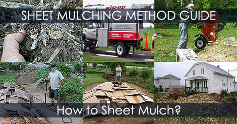 how-to-sheet-mulch-tutorial.jpg