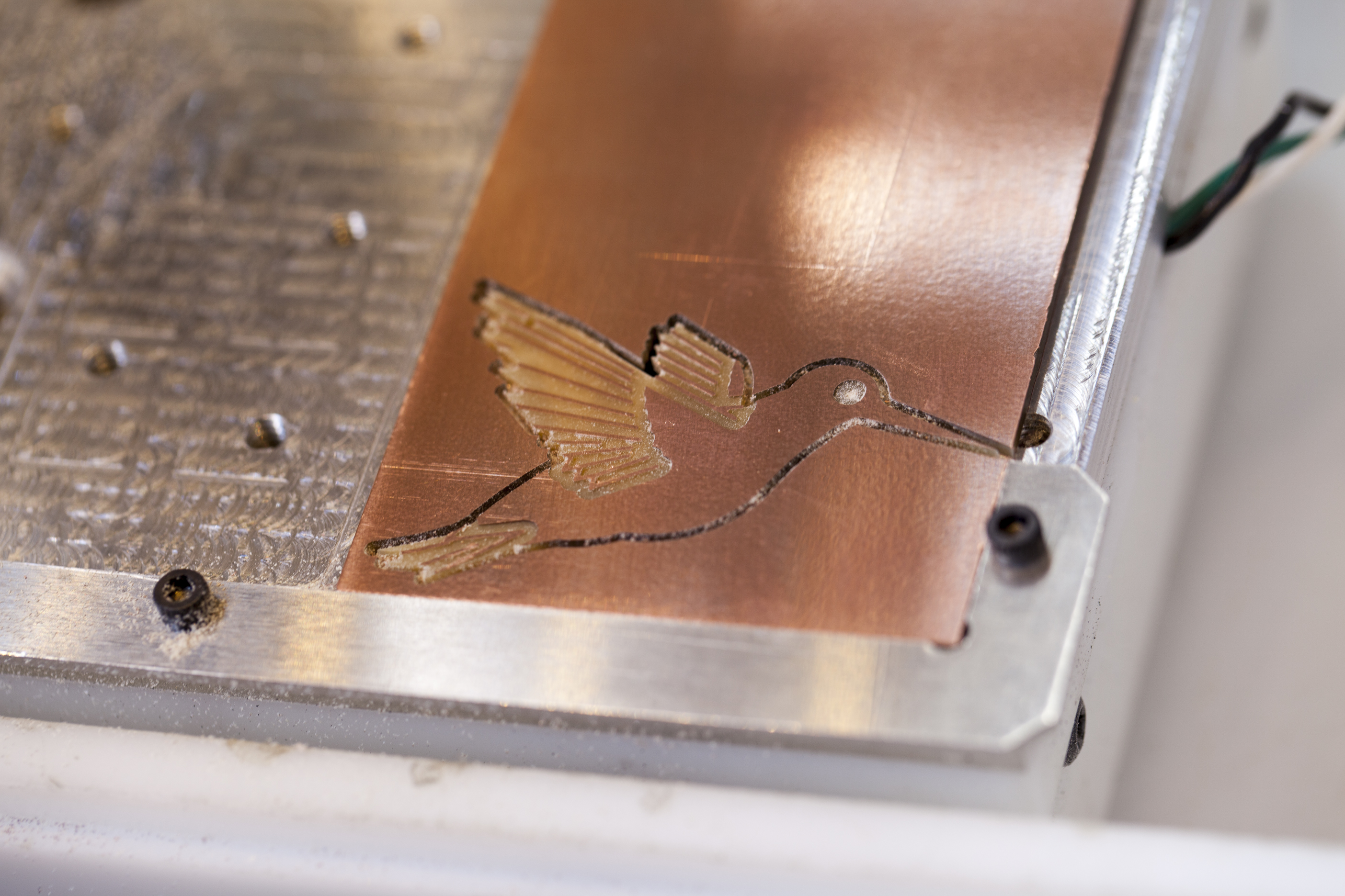 hummingbird08.jpg
