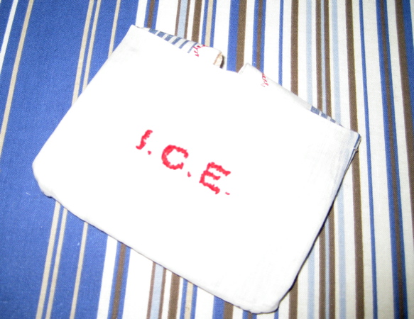 ice022.JPG