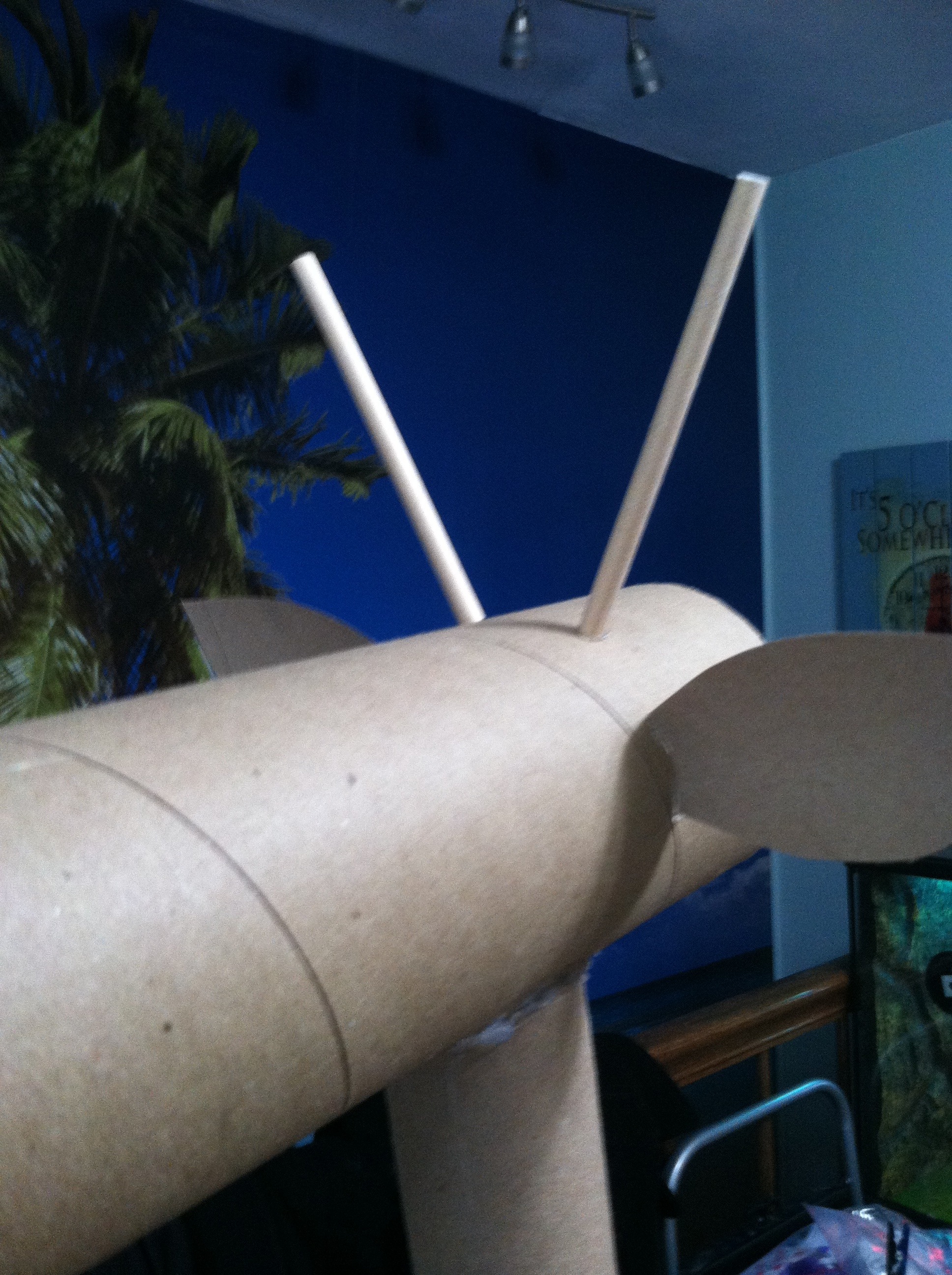 image (22).jpeg