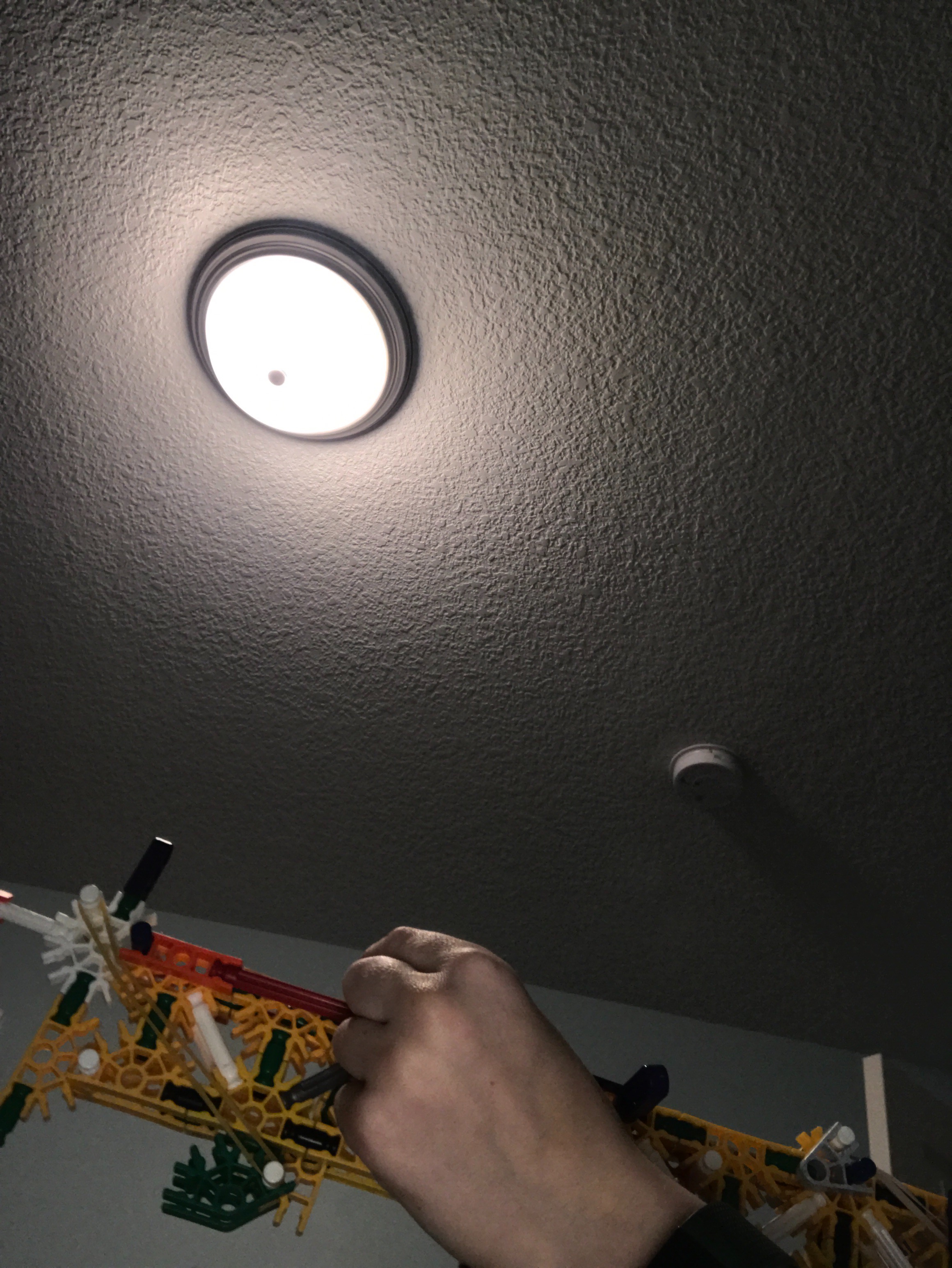 image.jpg