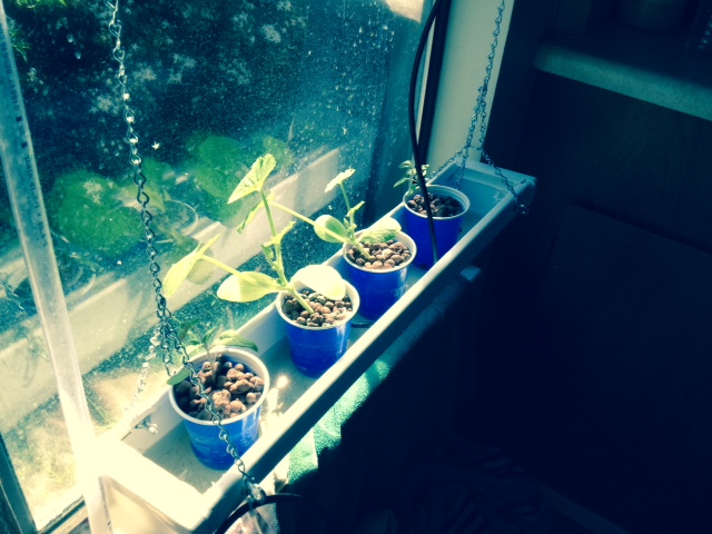 image9.jpeg