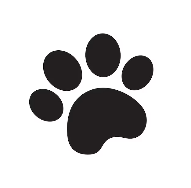 imagen_2023-10-07_185729181.png