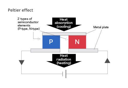 img-structure1.jpg