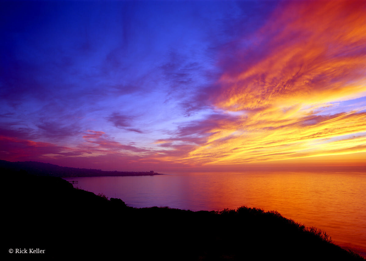 img013-1200-copy (1).jpg