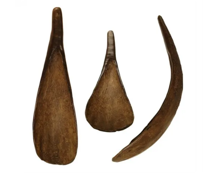 indigenous horn spoons.png