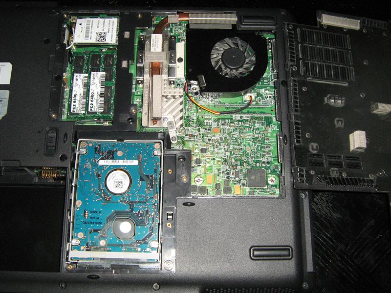 innards.jpg