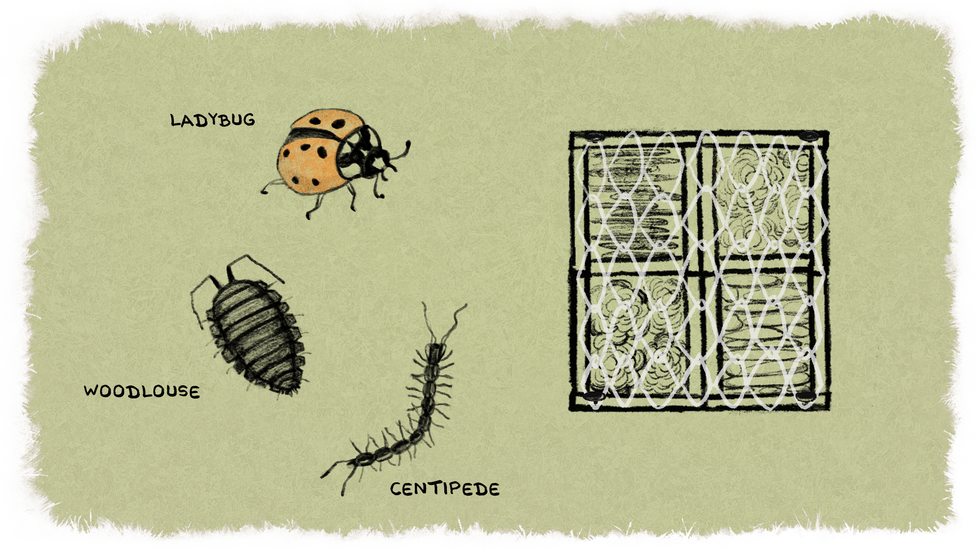 insect_hotel_0010_pinecones2.png