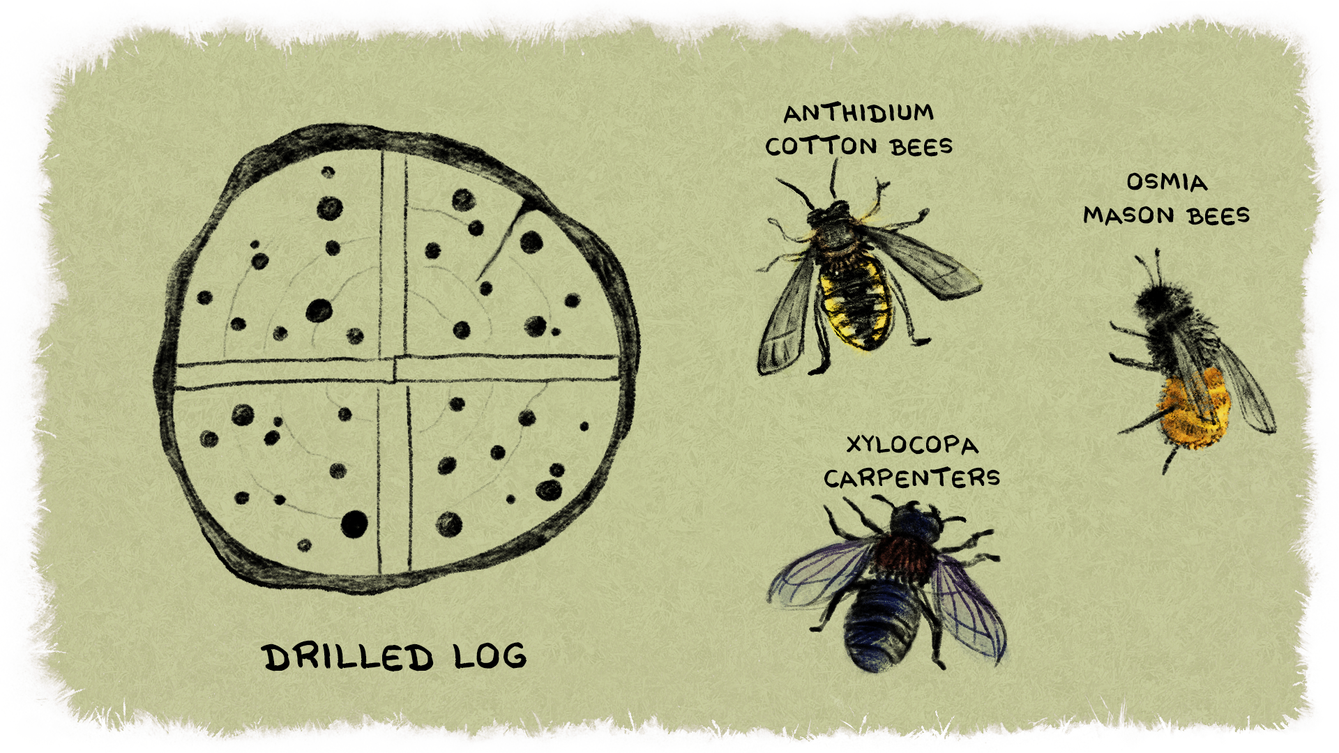 insect_hotel_0013_drilled_log.png