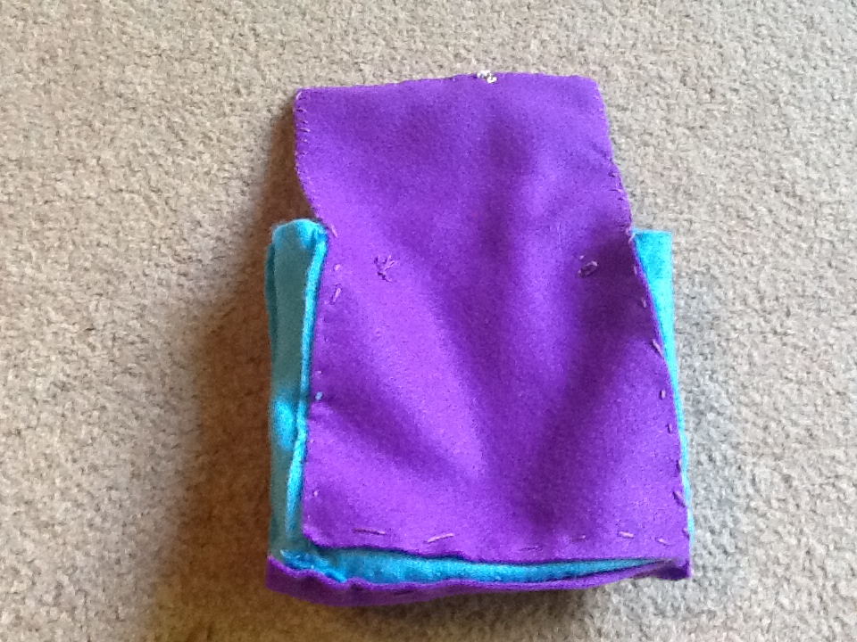 inside bag.jpg