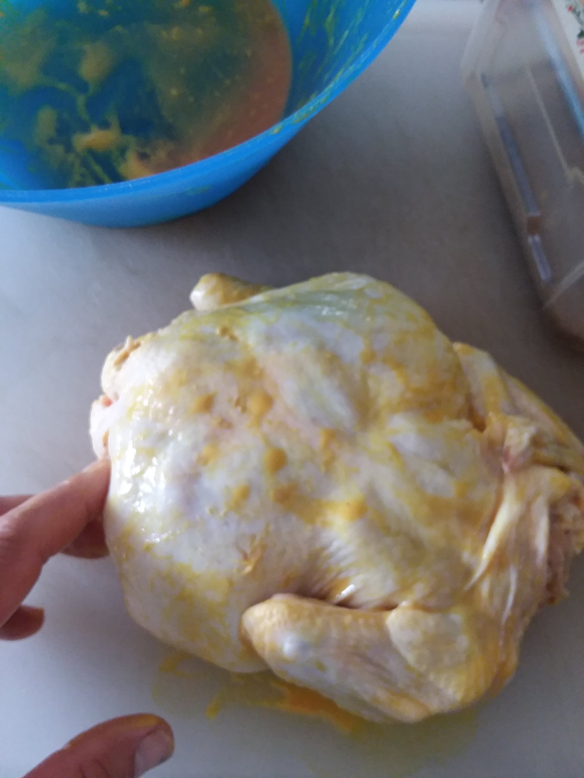 instructable chicken 11.jpg