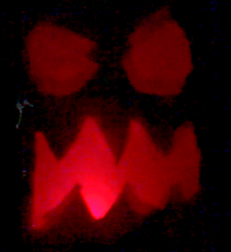 jack o lantern still.png