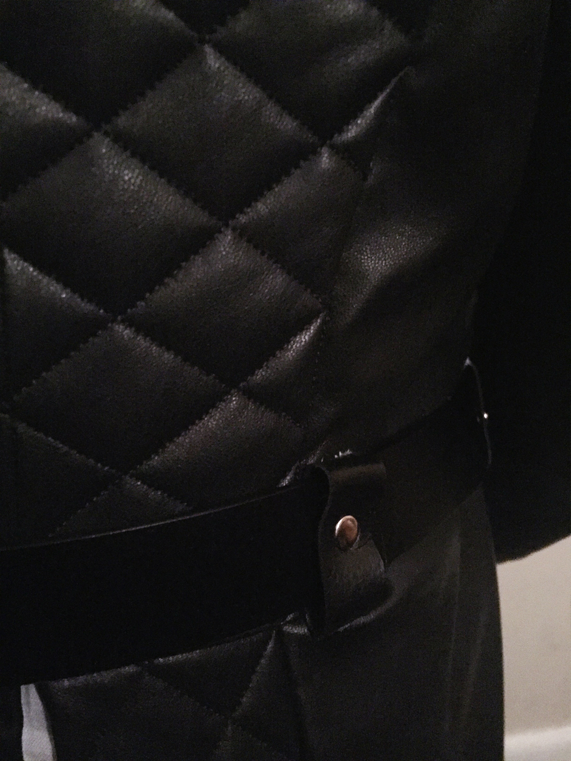 jacket detail 2.jpg