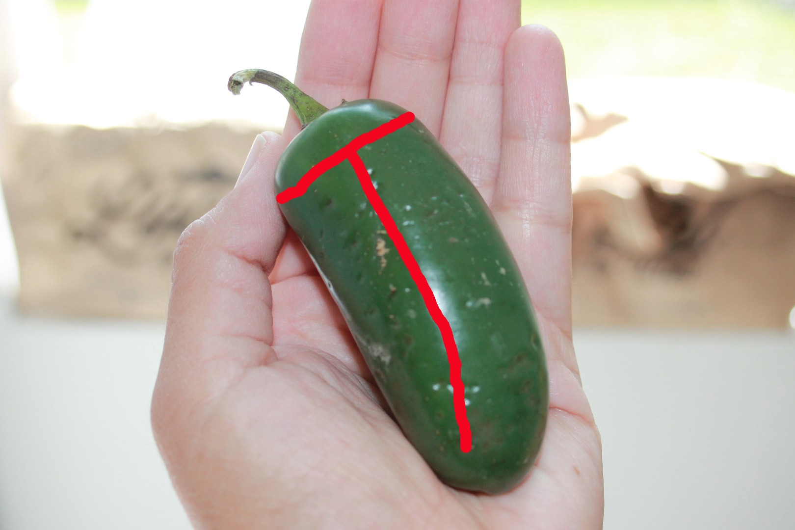 jalapeno_cut_line.jpg