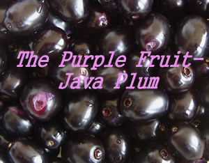 jamun1.jpg