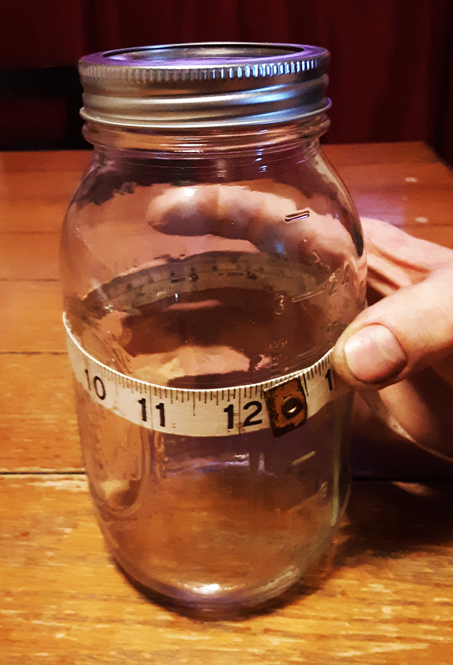 jar, measuring.jpg