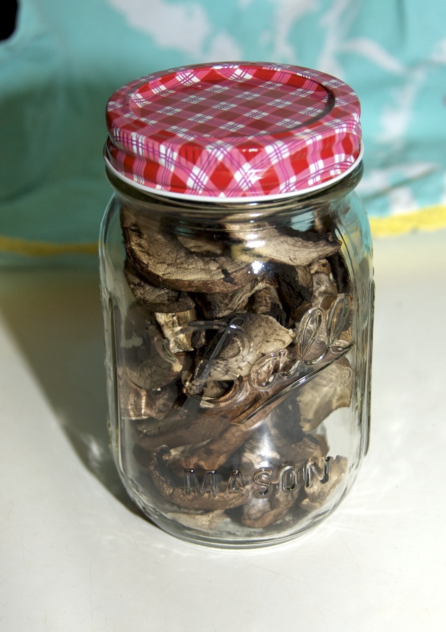 jar of mushrooms.jpg