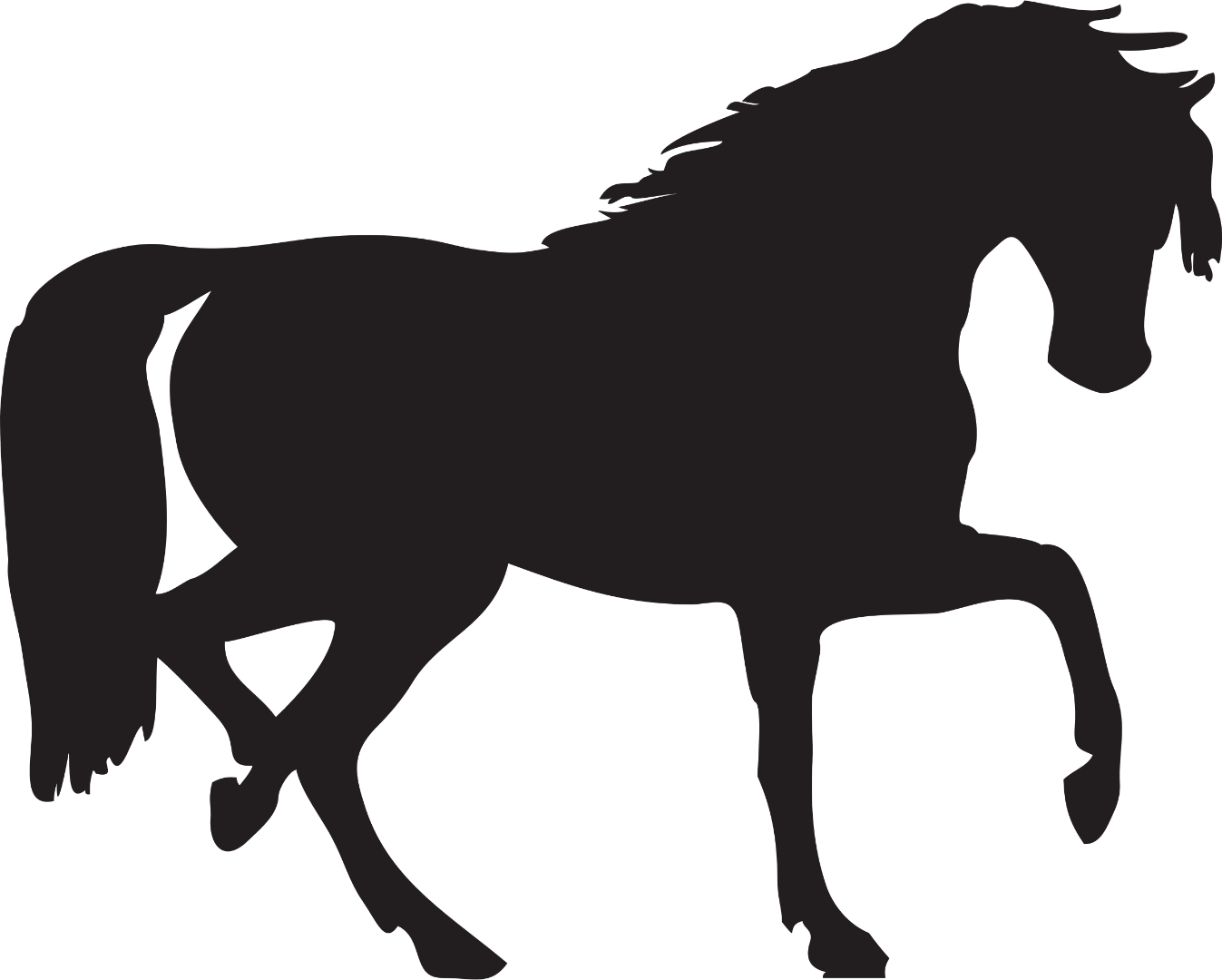 johnny-automatic-horse-silhouette.png