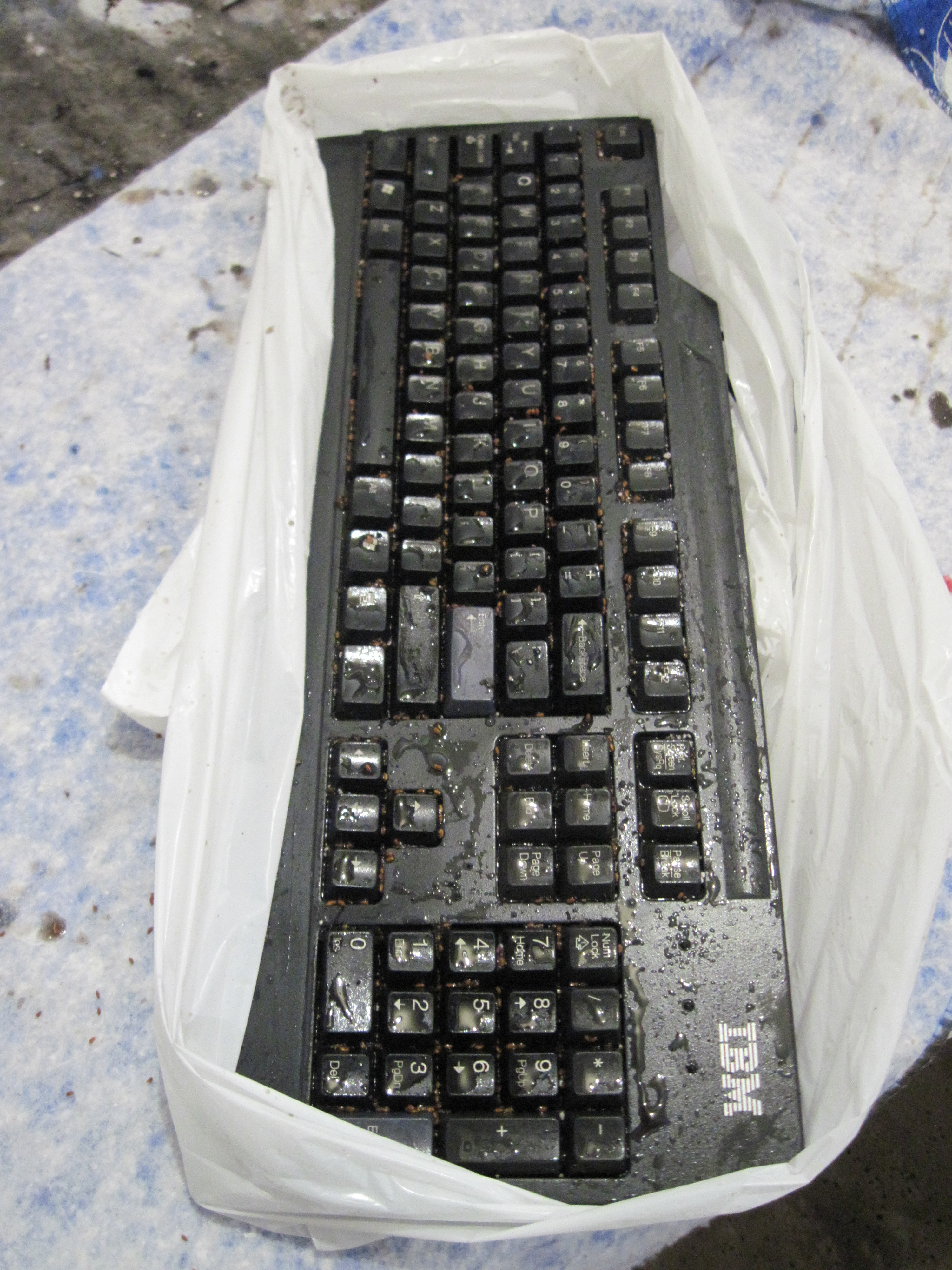 keyboard-plant-prank-3002.JPG