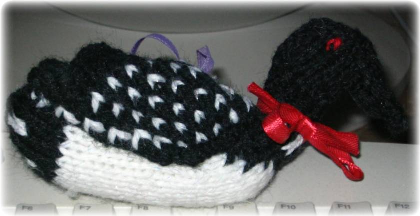 knitted loon 003.jpg