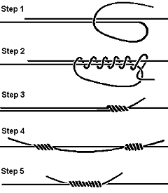 knot11.gif