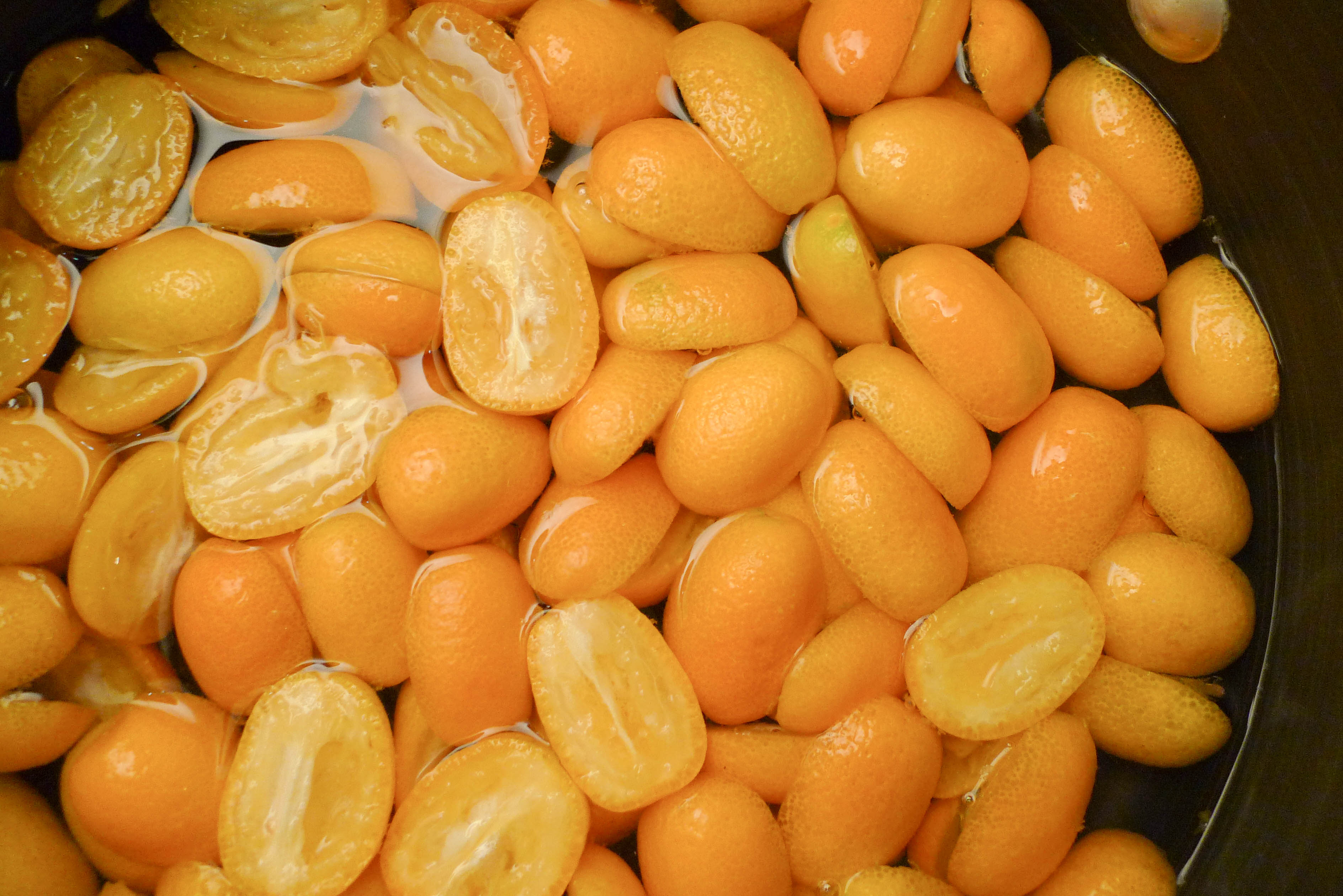 kumquat-5.jpg