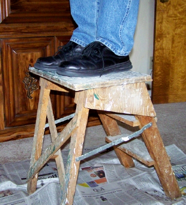 ladder stand on.jpg